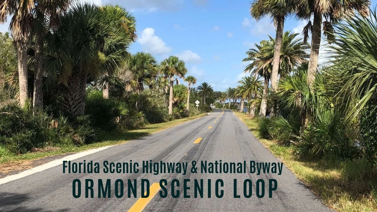 Living in the 32174 — Live: The Ultimate Ormond Beach Neighborhood Guide